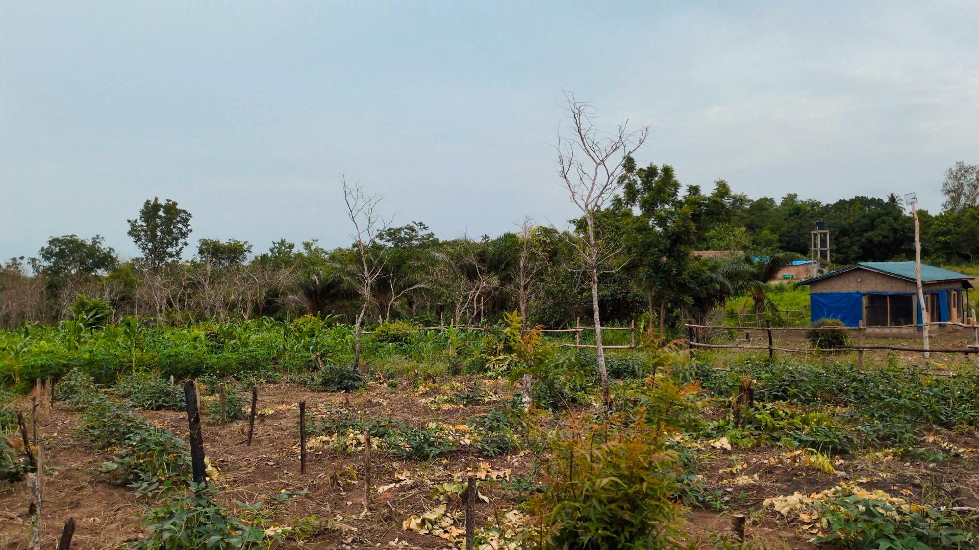 Jardins et bâtiments